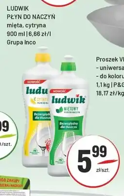 Sedal Ludwik Płyn do naczyń oferta