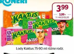 Społem Lody Kaktus oferta