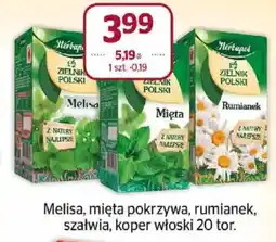 Społem Herbata Zielnik Polski oferta