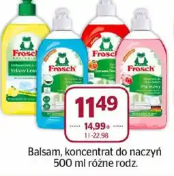 Społem Balsam, koncentrat do naczyń Frosch oferta