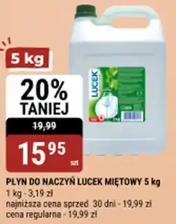 bi1 Płyn do naczyń Lucek miętowy oferta
