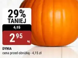 bi1 Dynia oferta