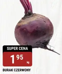 bi1 Burak czerwony oferta