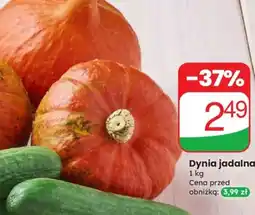 Dino Dynia jadalna oferta