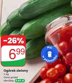 Dino Ogórek zielony oferta