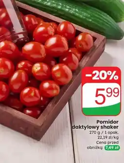Dino Pomidor daktylowy shaker oferta
