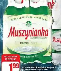 Dino Woda mineralna Muszynianka oferta
