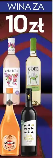 Żabka Wina oferta