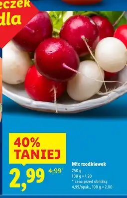 Lidl Mix rzodkiewek Lidl oferta