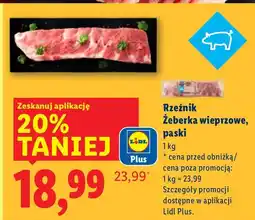 Lidl Rzeźnik żeberka wieprzowe, paski Lidl oferta