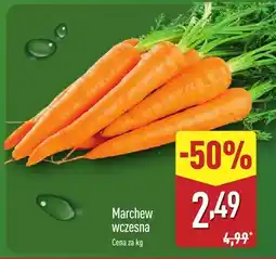 ALDI Marchew wczesna Aldi oferta