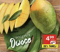 Delikatesy Centrum Mango dojrzałe Delikatesy Centrum oferta
