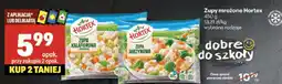 Delikatesy Centrum Zupa Hortex mrożona oferta