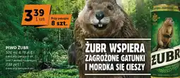 Euro Sklep Piwo Zubr oferta