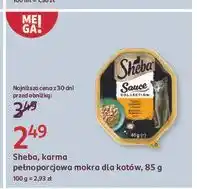 Rossmann Karma dla kota frykasy z indykiem i warzywami Sheba Sauce Collection oferta