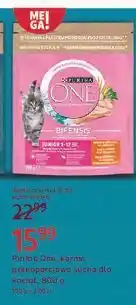 Rossmann Karma dla kota junior Purina One oferta