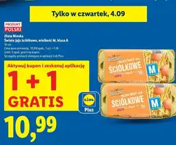 Lidl Jaja ściółkowe kl. m Złota Nioska oferta