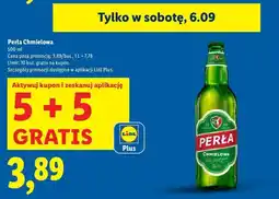 Lidl Piwo Perła Chmielowa oferta