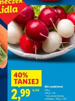 Lidl Rzodkiewki mix oferta