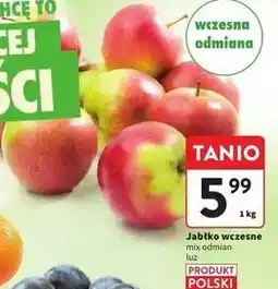 Intermarche Jabłka polskie wczesne oferta