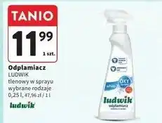 Intermarche Odplamiacz w sprayu white Ludwik oferta