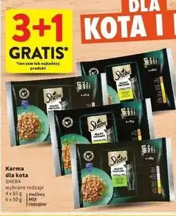 Intermarche Karma dla kota z kurczakiem drobiem indykiem Sheba Fresh & Fine oferta