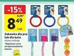 Intermarche Zabawka dla kota Kingdom oferta