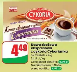 Dino Kawa Cykoria Cykorianka oferta