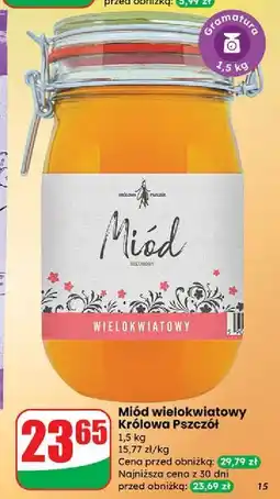 Dino Miód wielokwiatowy Cd Królowa Pszczół oferta