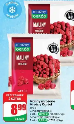 Dino Maliny Mroźny Ogród oferta