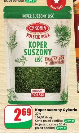 Dino Koperek suszony liść Cykoria oferta