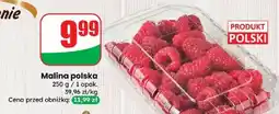 Dino Maliny polska oferta