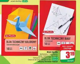 Dino Blok techniczny a4/10k biały Herlitz oferta