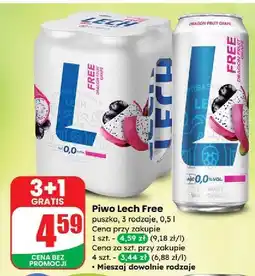 Dino Piwo Lech Free Dragon Fruit Grape oferta