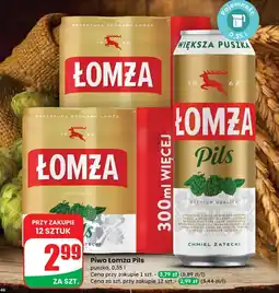 Dino Piwo Łomża Pils oferta