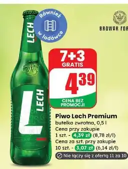 Dino Piwo Lech Premium oferta