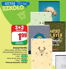 Dino Zeszyt a5/16 k linia Herlitz oferta