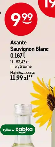 Żabka Asante Sauvignon Blanc oferta