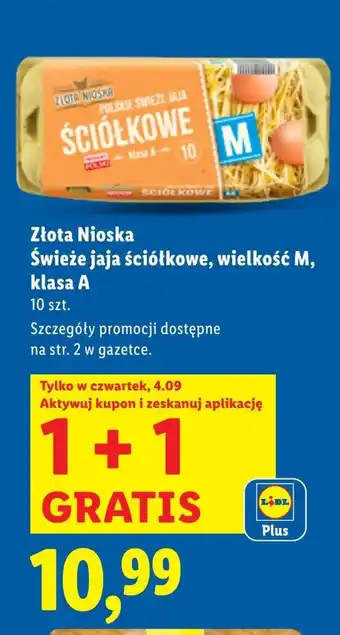 Lidl Jaja Złota nioska oferta