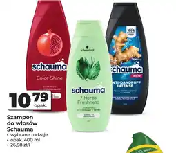 Odido Szampon Schauma oferta