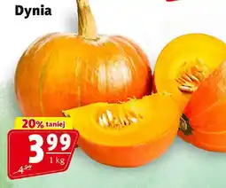 Prim Market Dynia Prim Market oferta