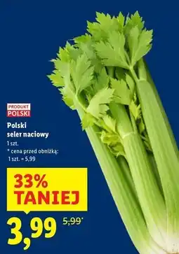 Lidl Seler naciowy Polski oferta