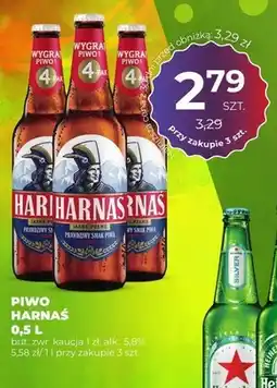 Duży Ben Piwo Harnaś oferta