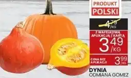 Wafelek Dynia Polski oferta
