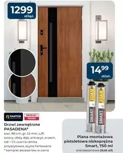 Mrówka Drzwi zewnętrzne Pantor oferta