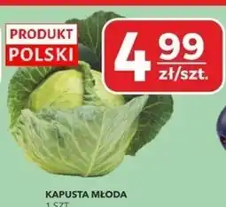 Społem Kapusta młoda Polski oferta