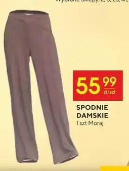 Społem Spodnie damskie Moraj oferta