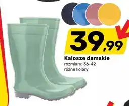 Bricomarche Kalosze oferta