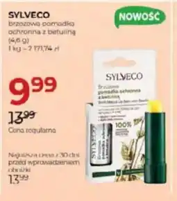 Jawa Drogerie Sylveco brzozowa pomadka ochronna z betuliną oferta