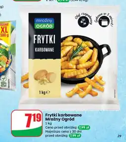 Dino Frytki Mroźny ogród oferta